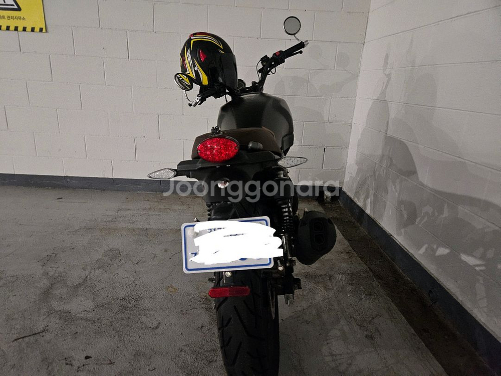 3@@@km. 노스텔지어 키든울프 125cc--2