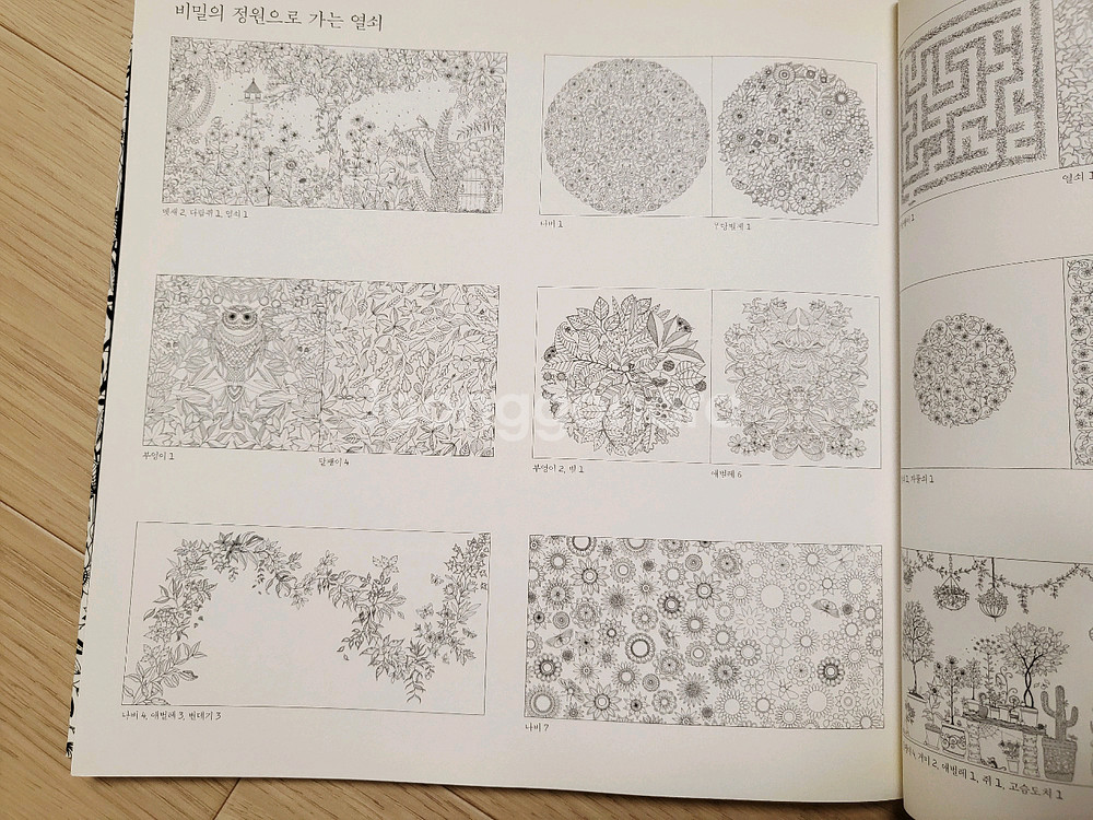 비밀의 정원 컬러링북 12000원--1