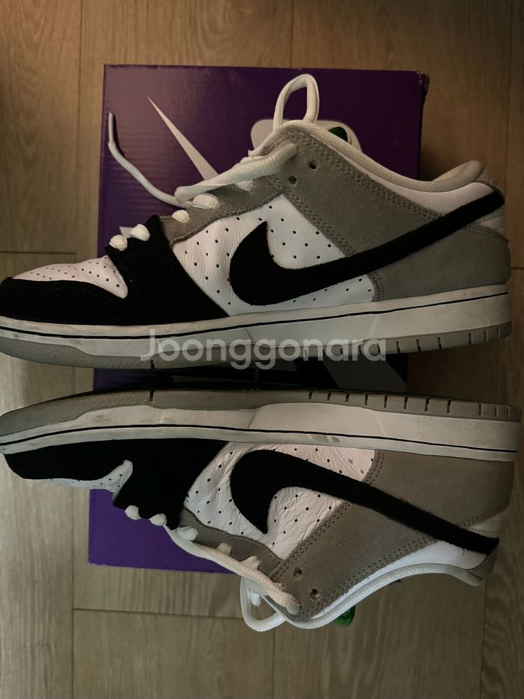 265 나이키 덩크sb 로우 클로로필--2