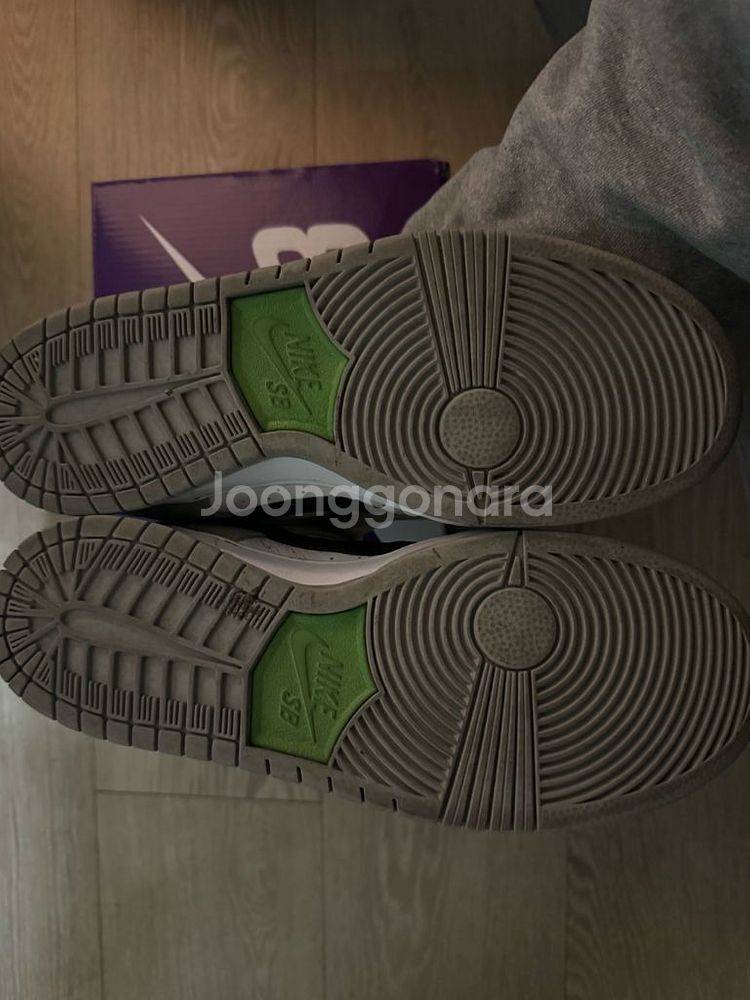 265 나이키 덩크sb 로우 클로로필--4