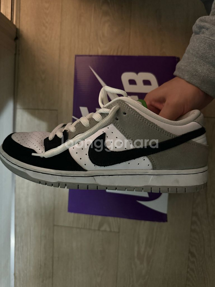 265 나이키 덩크sb 로우 클로로필--3