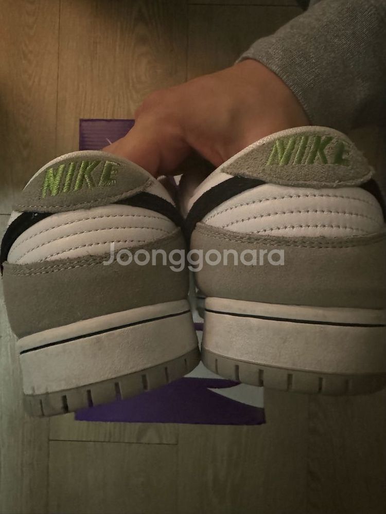 265 나이키 덩크sb 로우 클로로필--5