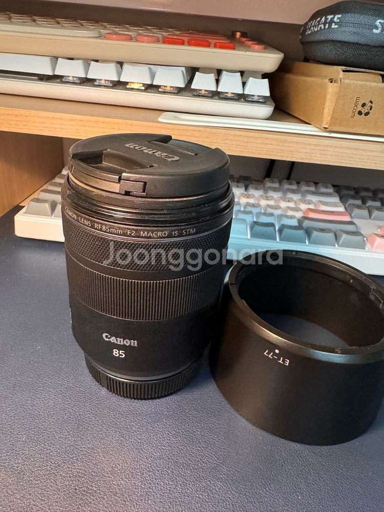 캐논 RF85mm f2.0--0