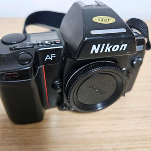 니콘 F-801 필름 카메라