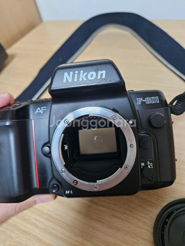 니콘 F-801 필름 카메라--4