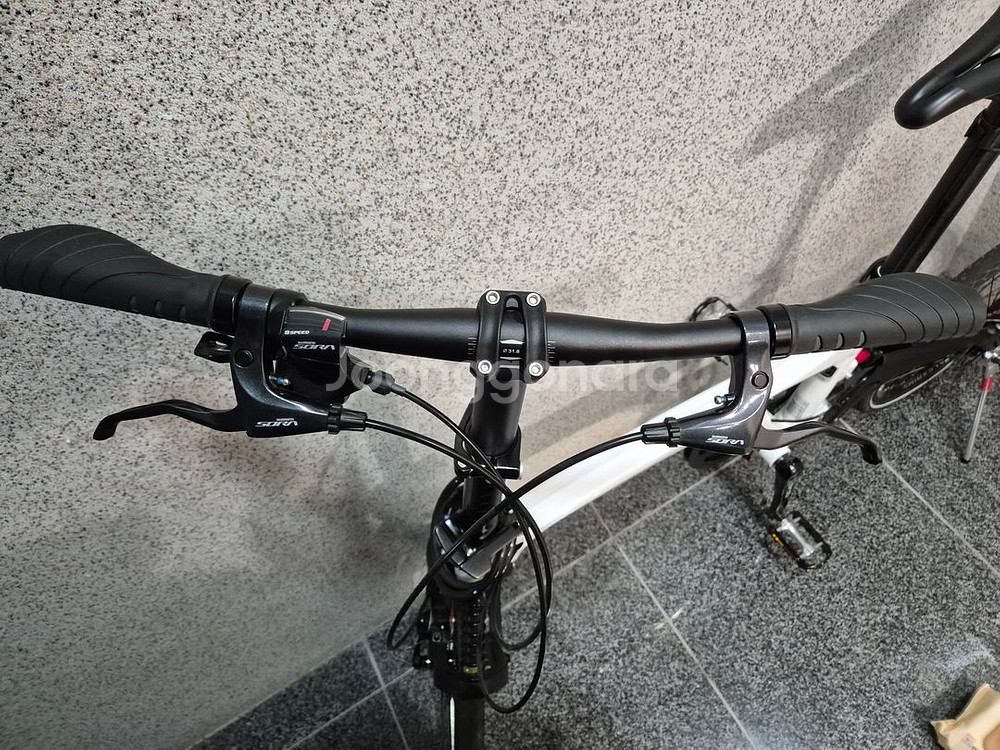 버디 스탠다드 자전거 (판다)--8