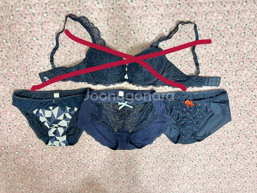 레이스망사 여성속옷/보디가드/프렌치엘/오모떼/면,매쉬--0