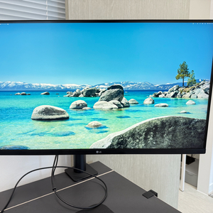 최상급 LG 울트라 파인 모니터 360 32UN880