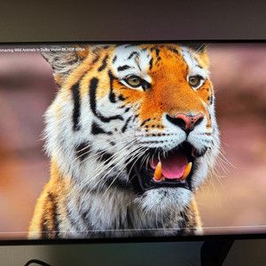 [초양품] LG 27GN950 + 모니터암 포함
