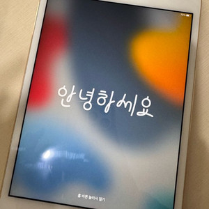 아이패드 미니 4세대 128GB wifi 이미지