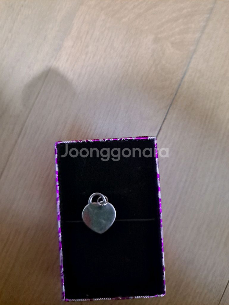 실버 팬덙트--1