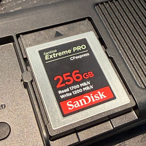 샌디스크 CFexpress type b 256