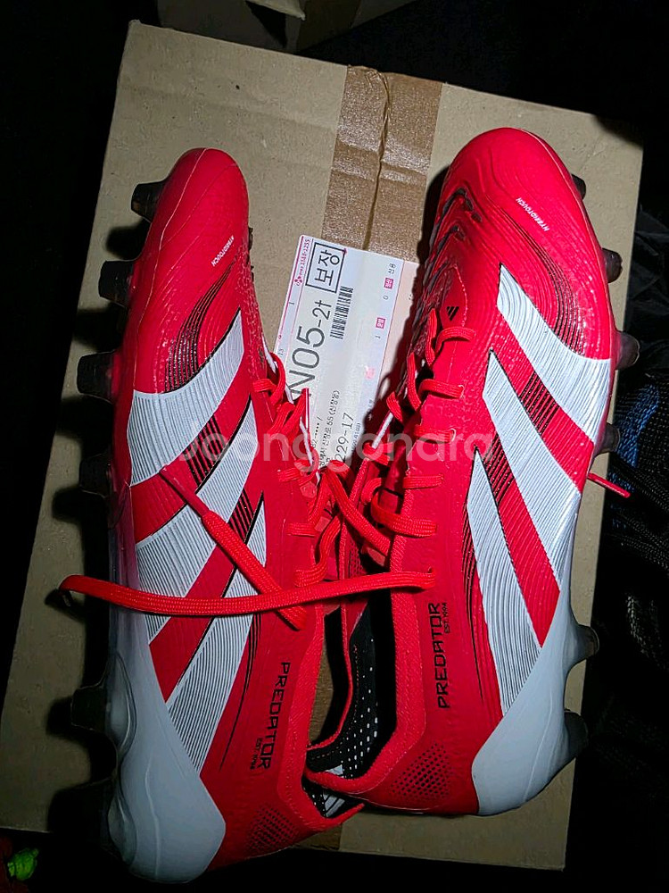 아디다스 프레데터 엘리트 HG 260--1
