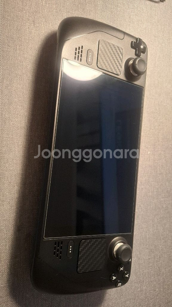 스팀덱 lcd 256gb--3