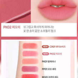 정가1.6]바닐라코 쉬어 벨벳 베일 틴트 pk피오리