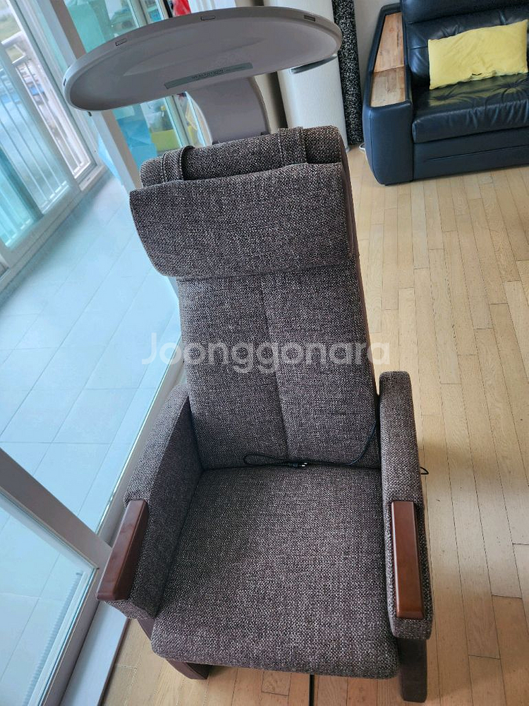 헬스트론 3전극 전위치료기 HEF-Lx9000WGK--1