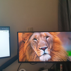 MAG271QPX E2 QD-OLED 모니터 판매