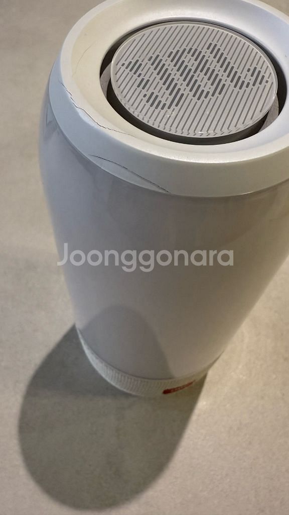 JBL 펄스 스피커--4