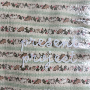 프레젠트프로젝트 민트버니 블랭킷