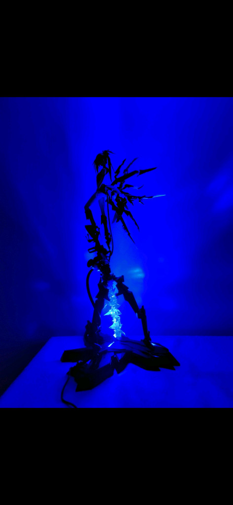 블랙록슈터 10th BRS inexhaustible.v--3