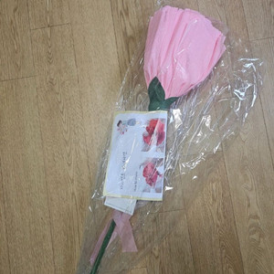 자이언트 카네이션