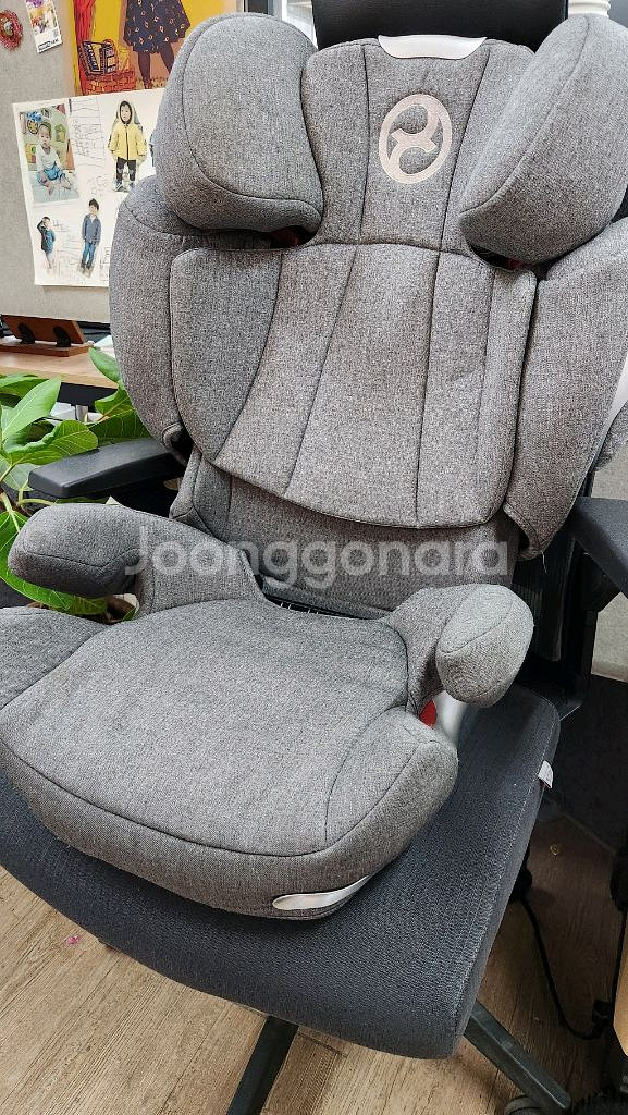 싸이벡스 Q3 주니어카시트--1