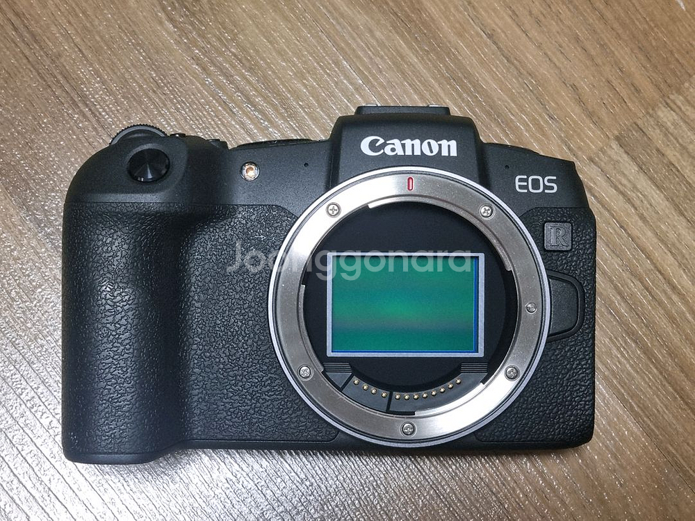 캐논 EOS RP+24-105 키트, 보증 27년 3월--1