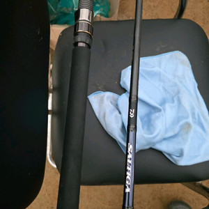 다이와 솔티가 81-5