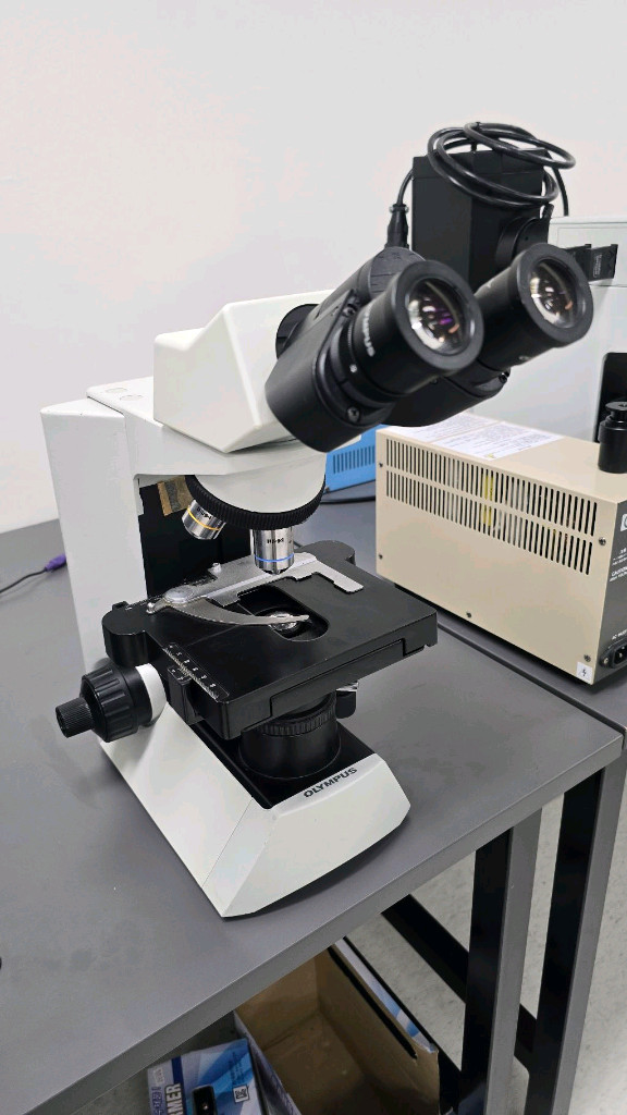 올림푸스 생물현미경 CX31 이미지