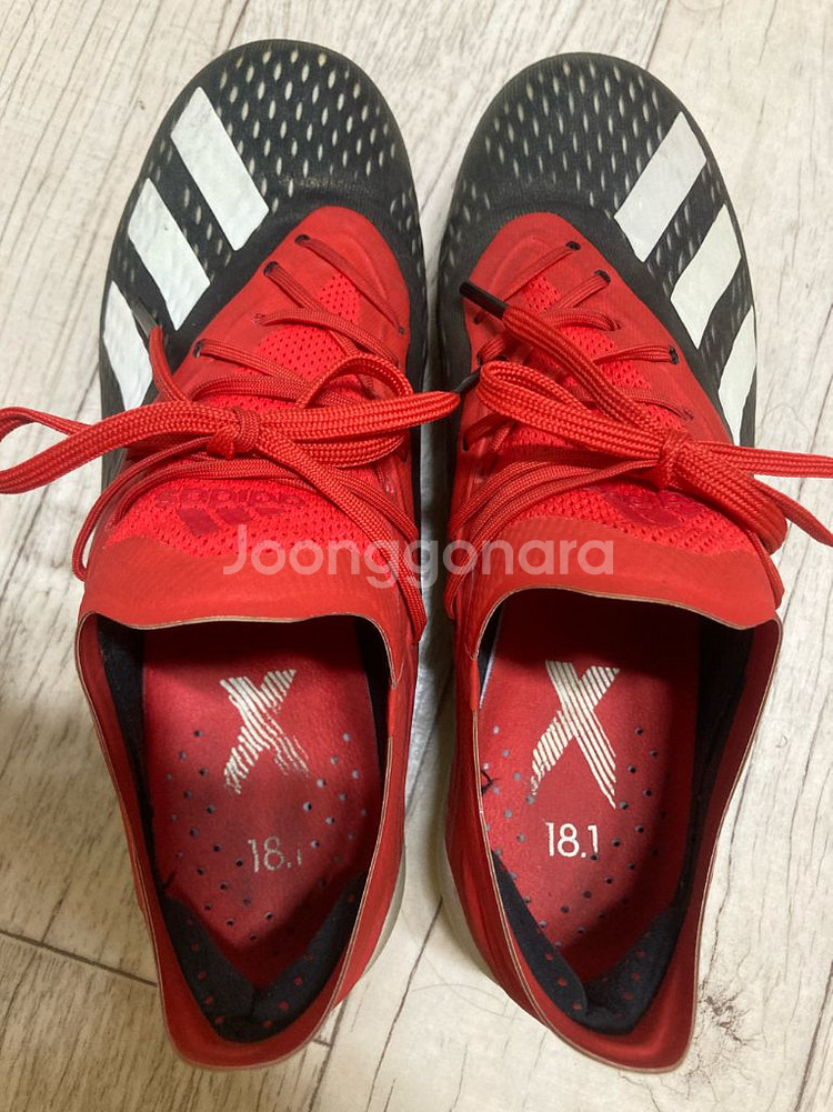 아디다스 엑스 18.1fg 245mm--4