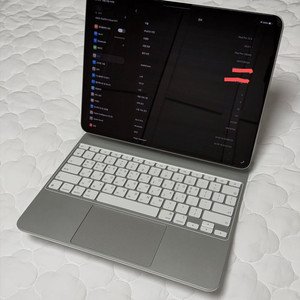 아이패드프로13인치 M4 512GB+애케플+정품악세사리