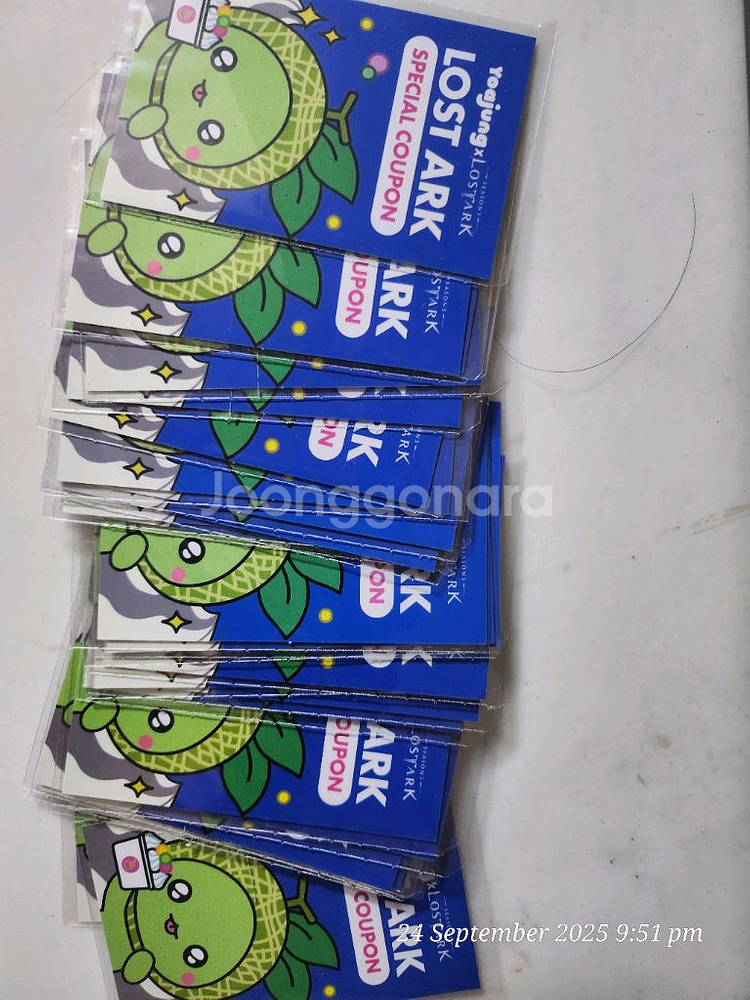 로스트아크 요아정 쿠폰--0