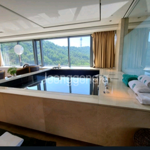 반얀트리 클럽 앤 스파 서울 디럭스 풀 호텔 숙박권