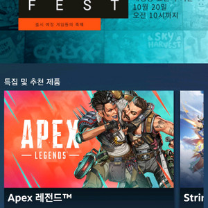 스팀월렛
