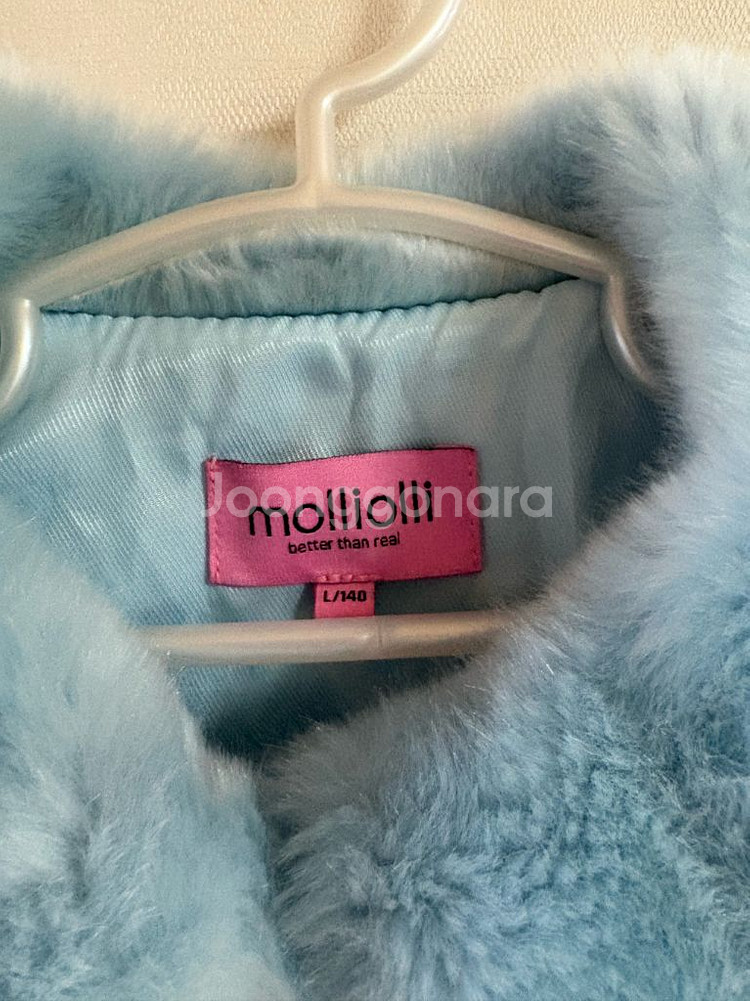 몰리올리140(컨디션좋음)--1