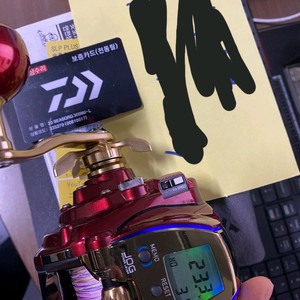 다이와20시보그300mj-l(정공)