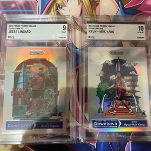 축구 k리그 파니니 프리즘 린가드, 강현묵 카드