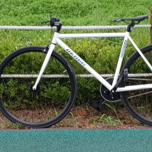 언노운 sc1 픽시 팝니다