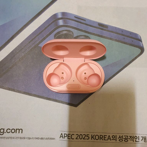 버즈플러스 본체 [배송비포함]