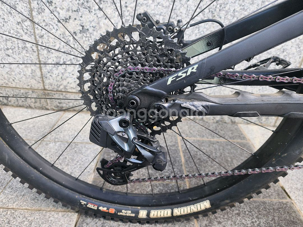 스페셜라이즈드 터보 리보 익스퍼트--3