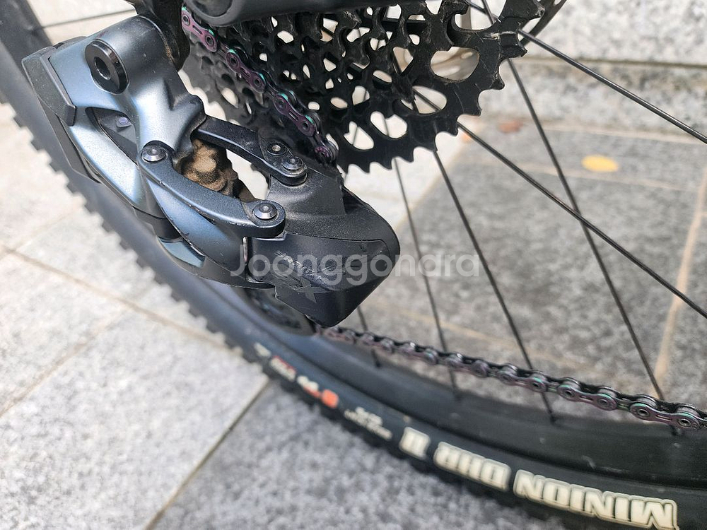 스페셜라이즈드 터보 리보 익스퍼트--9