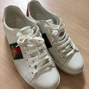 구찌 스니커즈 여성35사이즈