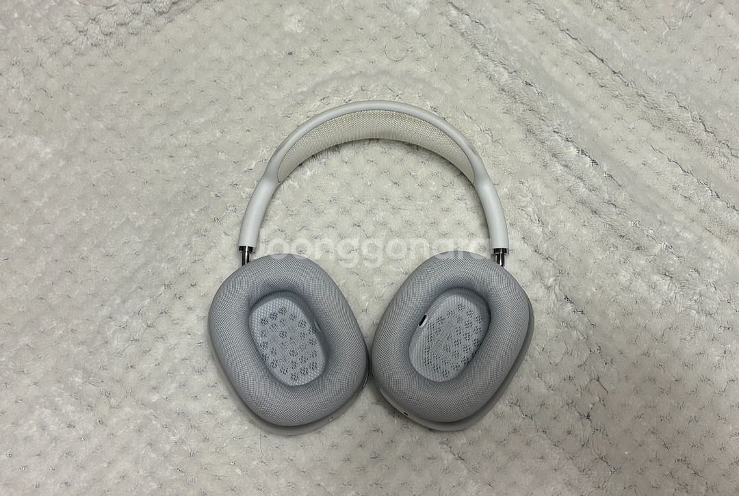 애플 에어팟 맥스 1세대--1