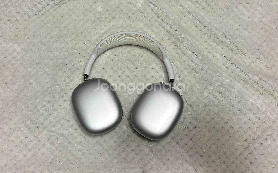 애플 에어팟 맥스 1세대--0