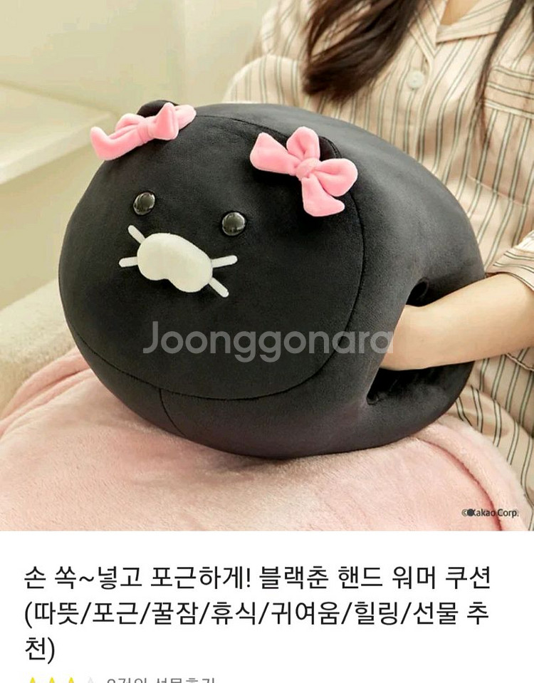 카카오프렌즈 블랙춘 핸드워머쿠션--0