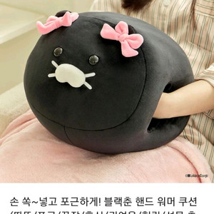 카카오프렌즈 블랙춘 핸드워머쿠션