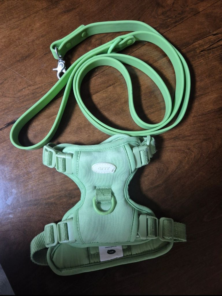 아르르 마이펫 하네스 & 리드줄(강아지 산책줄) 이미지