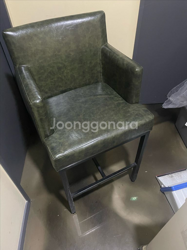 그린 레쟈 바체어 팝니다--0