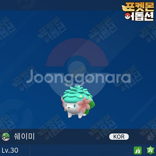 이로치 쉐이미 / 포켓몬스터 / 닌텐도 스위치--0