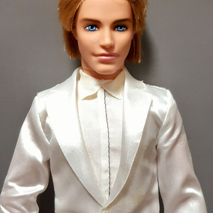 (택포)단종된 바비인형 남친 전체관절켄